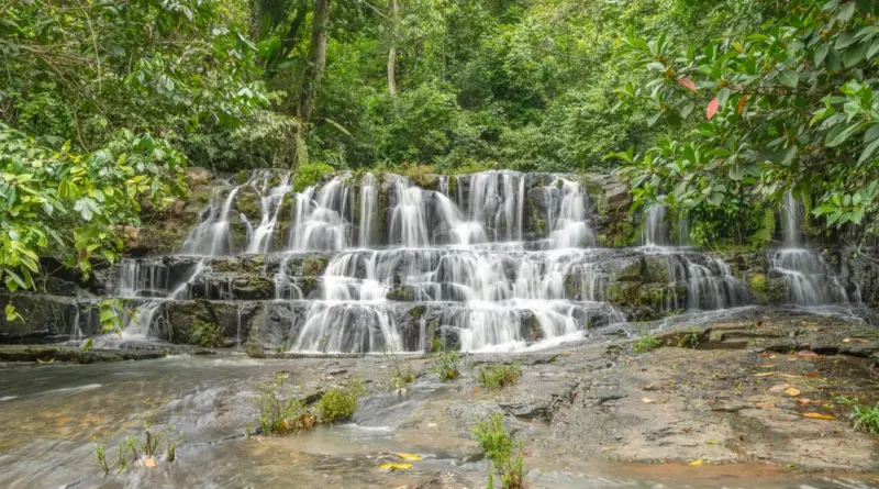 Inversión estratégica en turismo regenerativo en Costa Rica: protección de capital natural y rentabilidad del EBITDA en 2026.