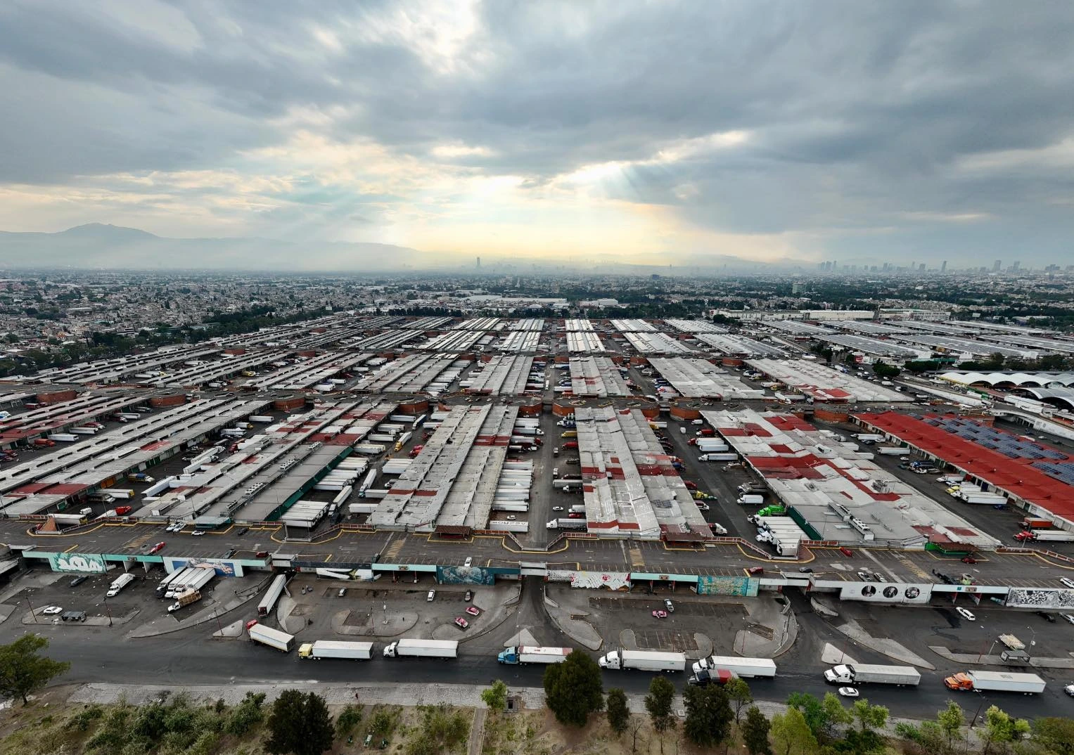 Central de Abastos de CDMX: el verdadero Venture Capital de alimentos
